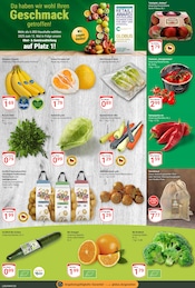 Aktueller GLOBUS Prospekt mit Salat, "Aktuelle Angebote", Seite 6
