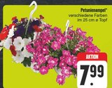 Petunienampel im EDEKA Prospekt Petunienampel von im aktuellen EDEKA Prospekt fĂŒr 7,99 âŹ