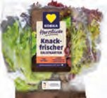 EDEKA Appen - Ballen Kopfsalat Angebot im Prospekt Ballen Kopfsalat bei EDEKA im Appen Prospekt für 1,49 €
