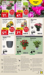 Offre Cyclamen dans le catalogue Lidl du moment à la page 27