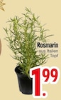 Rosmarin von  im aktuellen EDEKA Prospekt für 1,99 €