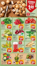 Blumen Angebot & Preis im aktuellen REWE Prospekt Blumen Angebot im aktuellen REWE Prospekt auf Seite 7