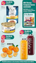 Purina Angebot im aktuellen REWE Prospekt auf Seite 3