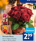 Fairtrade-Rosen im ALDI SÜD Prospekt Fairtrade-Rosen  im aktuellen ALDI SÜD Prospekt für 2,99 €