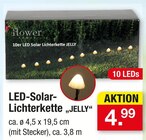 LED-Solar-Lichterkette "JELLY" Angebote von Flower Power bei Zimmermann Hildesheim für 4,99 €