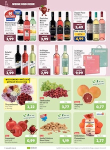 Aktueller aktiv & irma Prospekt für Oldenburg mit  Seiten