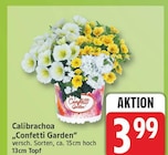 Calibrachoa 'Confetti Garden' im aktuellen EDEKA Prospekt
