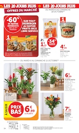 Promos Plante Verte dans le catalogue "LES 20 JOURS PLUS" de Hyper U Plante Verte en promo dans le catalogue Hyper U à la page 34