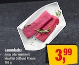 Lammlachs im Angebot bei Markant in Kiel Lammlachs Angebote bei Markant Kiel für 3,99 €