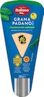 Grana Padano im Netto Marken-Discount Prospekt Grana Padano von Mondo Italiano im aktuellen Netto Marken-Discount Prospekt für 3,99 €