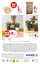 Offre Rosier dans le catalogue Super U du moment à la page 8