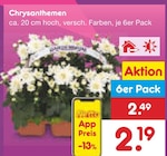 Chrysanthemen im Angebot bei Netto Marken-Discount in Niederkassel Chrysanthemen Angebote bei Netto Marken-Discount Niederkassel für 2,19 €
