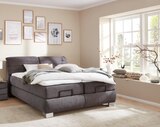 Aktuelle Bett Angebote bei Möbel Fischer in Fürth Aktuelles Oschmann Boxspringbett OC-BX21015 Enjoy Anthrazit Angebot bei Möbel Fischer in Fürth ab 3.999,00 €