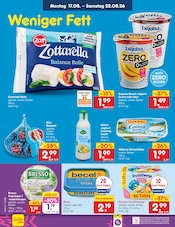 Ähnliche Babykleidung Angebote im Prospekt "Aktuelle Angebote" von Netto Marken-Discount in Bautzen Ähnliche Angebote wie Babykleidung im Prospekt "Aktuelle Angebote" auf Seite 24 von Netto Marken-Discount in Bautzen