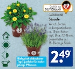Staude im ALDI SÜD Prospekt Staude von GARDENLINE im aktuellen ALDI SÜD Prospekt für 2,49 €