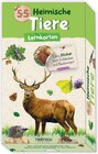 55er-Pack Lernkarten im Angebot bei Netto mit dem Scottie in Chemnitz 55er-Pack Lernkarten Angebote von Trötsch bei Netto mit dem Scottie Chemnitz für 5,99 €