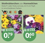 Stiefmütterchen Angebote bei V-Markt München für 0,60 €