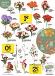 Fleurs Fleurs