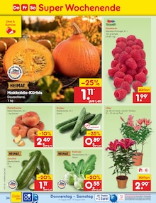 Pflanzen im aktuellen Netto Marken-Discount Prospekt (Braunschweig) Pflanzen im Netto Marken-Discount Prospekt "Aktuelle Angebote" mit 68 Seiten (Braunschweig)