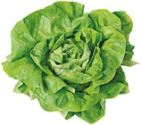 Kopfsalat im Angebot bei REWE in Bottrop Kopfsalat Angebote von REWE Regional bei REWE Bottrop für 0,88 €