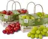 Kernlose Bio-Tafeltrauben im Penny Prospekt Kernlose Bio-Tafeltrauben von Naturgut im aktuellen Penny Prospekt für 1,11 €