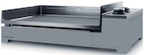 Plancha Premium 60 à 679,00 € dans le catalogue Botanic