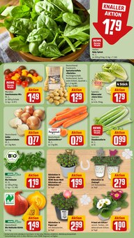 Pflanzen im REWE Prospekt "Dein Markt" mit 32 Seiten (Heidelberg)