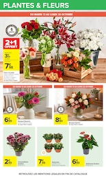 Prix et réduction Anthurium dans le prospectus Carrefour en cours Offre Anthurium dans le catalogue Carrefour du moment à la page 62
