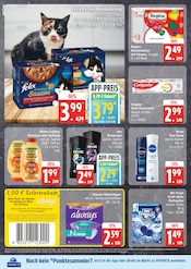 Steine im EDEKA Prospekt in Seevetal Aktueller EDEKA Prospekt mit Steine, "Top Angebote", Seite 22