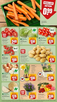 Tomaten im REWE Prospekt "Dein Markt" mit 30 Seiten (Duisburg)