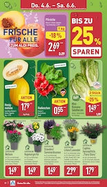 Stauder Angebote im Prospekt "Aktuelle Angebote" von ALDI Nord auf Seite 29