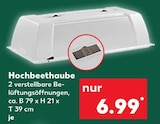 Hochbeethaube im aktuellen Kaufland Prospekt