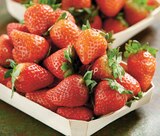 Intermarché Super Montceau-les-Mines - Promo Fraise Ronde Promo Fraise Ronde à 2,99 € dans le catalogue Intermarché Super à Montceau-les-Mines