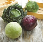 Chou à 1,29 € dans le catalogue Intermarché Hyper