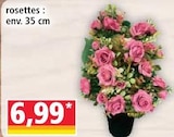 Norma Uckange - Promo Rosettes Promo Rosettes à 6,99 € dans le catalogue Norma à Uckange