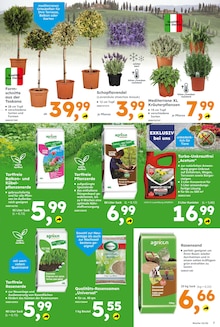 Rasenmäher im aktuellen Globus-Baumarkt Prospekt (Darmstadt) Rasenmäher im Globus-Baumarkt Prospekt "Immer eine Idee besser" mit 16 Seiten (Darmstadt)