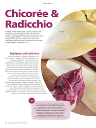 Chicoree Angebot & Preis im aktuellen Alnatura Prospekt Chicoree Angebot im aktuellen Alnatura Prospekt auf Seite 22
