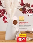 Dekoratives LED Sortiment von DEKOR im aktuellen Netto Marken-Discount Prospekt für 9,99 €