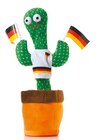 Kaktus Deutschland-Fan für 9,99 € bei Netto mit dem Scottie im Angebot Kaktus Deutschland-Fan im aktuellen Netto mit dem Scottie Prospekt
