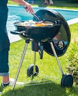 Barbecue charbon de bois phoenix - NATERIAL - Weldom à Douchy-les-Mines Barbecue charbon de bois phoenix - NATERIAL en promo chez Weldom Douchy-les-Mines à 79,00 €