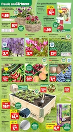 Dünger Angebot im aktuellen Thomas Philipps Prospekt auf Seite 2