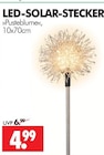 LED-SOLAR-STECKER »Pusteblume« Angebote bei Wreesmann Dresden für 4,99 €