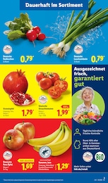 Zwiebeln Angebot & Preis im aktuellen Lidl Prospekt Zwiebeln Angebot im aktuellen Lidl Prospekt auf Seite 11