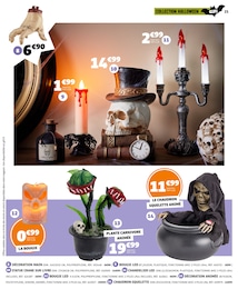 Offre Fleurs dans le catalogue Gifi du moment à la page 21