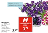Petunien für 3,79 € bei Hellweg im Angebot Petunien im aktuellen Hellweg Prospekt