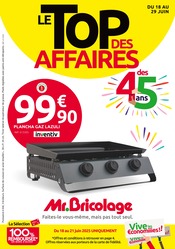 Plancha À Gaz Angebote im Prospekt "LE TOP DES AFFAIRES DES 45 ANS" von Mr.Bricolage Plancha À Gaz Angebote im Prospekt "LE TOP DES AFFAIRES DES 45 ANS" von Mr.Bricolage auf Seite 1