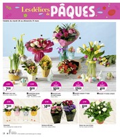Promos Fleur En Pot dans le catalogue "Les délices de PÂQUES !" de Géant Casino à la page 18