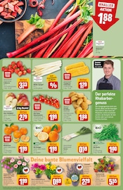 Ähnliche Angebote wie Bonsai im Prospekt "Dein Markt" auf Seite 9 von REWE in Kiel