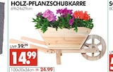 Holz-Pflanzschubkarre im Angebot bei Wreesmann in Stade Holz-Pflanzschubkarre Angebote bei Wreesmann Stade für 14,99 €