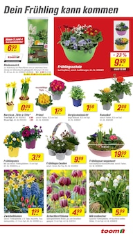 Blumen im toom Baumarkt Prospekt "Respekt, wer's selber macht." mit 26 Seiten (Nürnberg)
